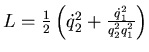 $ L=\frac 12 \left( \dot q_2^2 +{\dot q_1^2 \over q_2^2 q_1^2} \right)$
